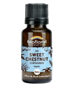 Châtaignier - Sweet Chestnut (n°30), granules sans alcool